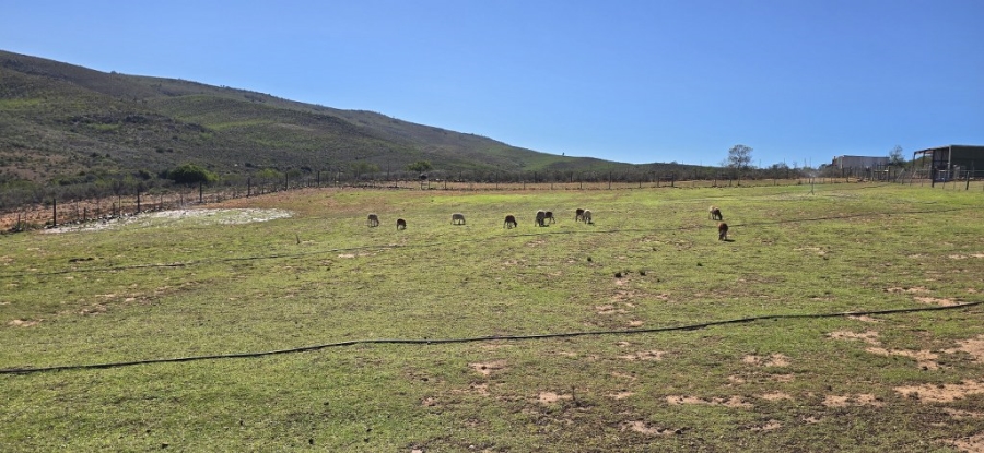 2 Bedroom Property for Sale in Twee Riviere Eastern Cape
